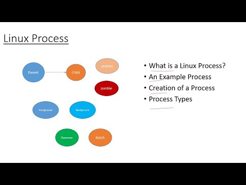 Linux Process Essentials