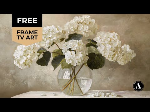 Free Vintage Frame TV Art White Hydrangea Still Life Tv Screensaver Wallpaper Floral Oil Painting