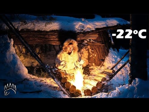 Extreme Winter Survival with No Sleeping Bag, Self Feeding Fire, and Shelter Build