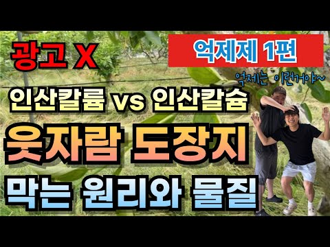 Calcium Phosphate vs. Potassium Phosphate, Which is Better? If You Know the Causes of Laughing an...