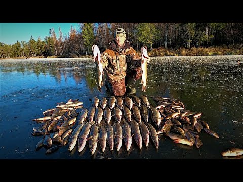 ПЕРВЫЙ ЛЁД 25-26 ПОКОРЁН! ЯМАЛ УЖЕ БУРИТ И ТАСКАЕТ А ЯКУТИЯ ЕЩЁ ЖДЁТ И ОТДЫХАЕТ!