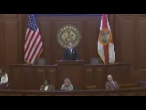 Florida lawmakers rebuke Gov. DeSantis, unveil new immigration plan