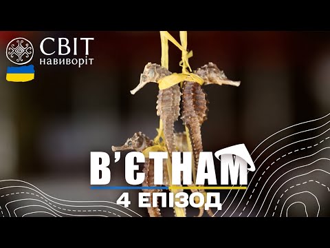Шокуюча нетрадиційна медицина та нічне полювання на рибу. В’єтнам. Світ навиворіт 4 випуск