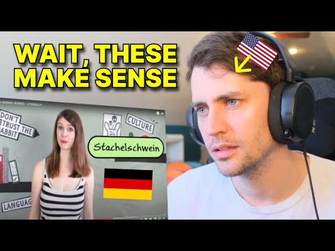 American reacts to German names for Animals