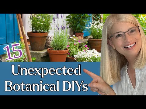 15 Surprising Botanical Thrift Flips to Bring Nature Indoors