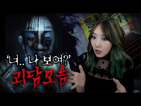 국내 레전드 괴담 다 모았네 | 디바제시카 인기영상