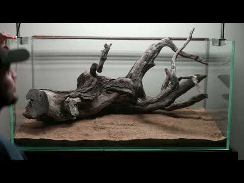 South American Tank Build