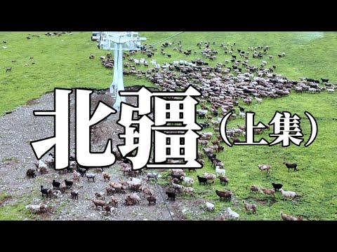 喜鴻假期 北疆14天(上集D1-D7)2025.06.28-07.11