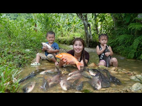 how to catch giant river fish on rainy day to sell at market - cook fish for little daughter to eat