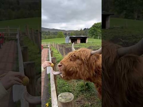 ✈️ 🧳 Do you travel fast or slow? #travelcouple #traveldestinations #europesummer #travelideas