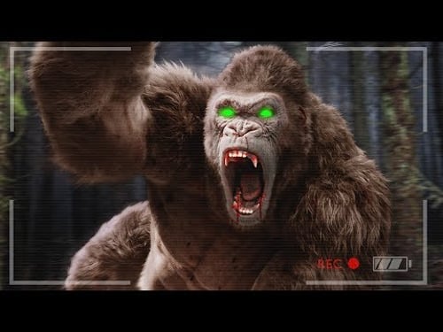FINDING and HUNTING BIGFOOT! (Finding Bigfoot Game)