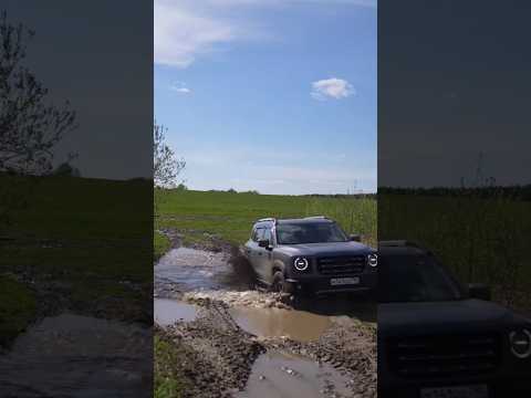 Проходимец дарго #dargo #havaldargo #haval #offroad #покатушки #лето #cars #mud #travel #путешествия