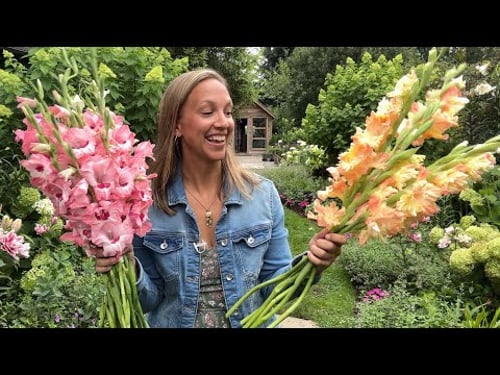 Must-Grow Gladiolus & Roselilies + Longwood Gardens Tour!!!
