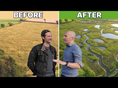 Creating a Wetland from Scratch (with Belmont Estate)