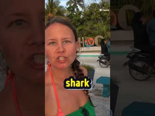 My Girlfriend Says She Can Communicate to Sharks π¦π²