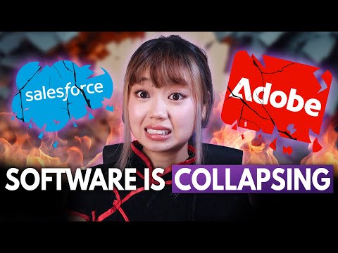 Why AI Is Breaking The Software Business Model