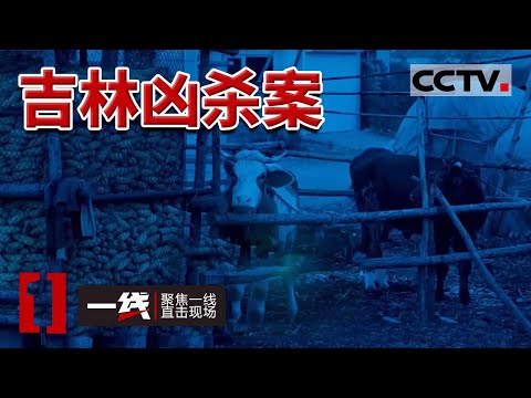 《一线》1991年吉林特大命案 凶手潜逃30多年落网!20240322