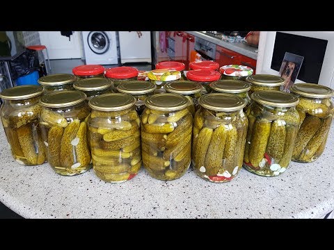 CANNING PICKLED CUCUMBERS