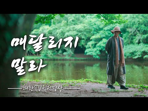 Let Go of Regret, Embrace Peace