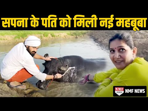 Sapna Choudhary के पति Veer Sahu को मिली नई महबूबा, डांसर को लगा बड़ा झटका