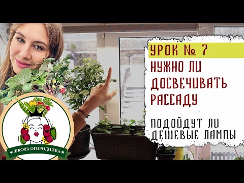 НУЖНО ЛИ ДОСВЕЧИВАТЬ РАССАДУ. ПОДОЙДУТ ЛИ ДЕШЕВЫЕ ЛАМПЫ? УРОК №7