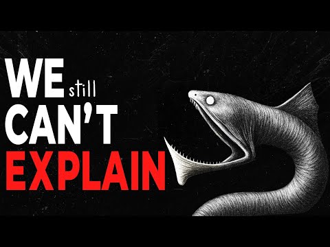Why Eels get Creepier the Deeper you Go