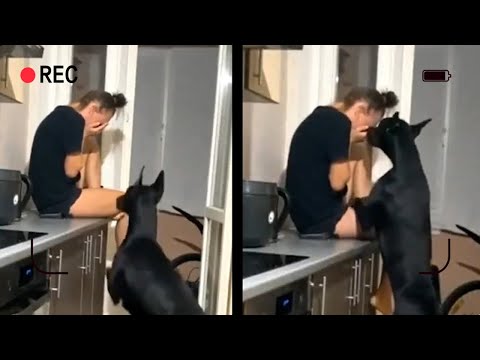 當鏡頭記錄中,那些動物朋友們所展露溫柔的舉動!(* ̄▽ ̄*)