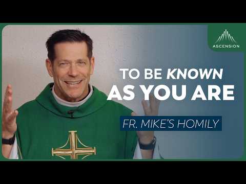 "In The Light" | 33rd Sunday in Ordinary Time (Fr. Mike's Homily) #sundayhomily