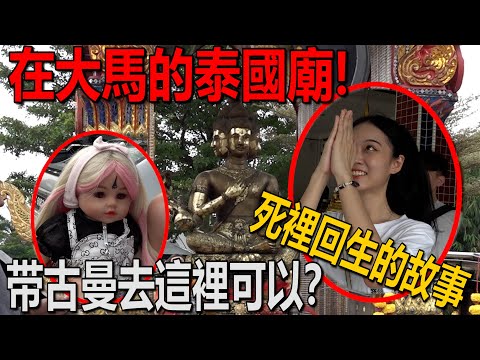 被龍婆托救了兩命!美女帥哥分享死裡回生的奇跡故事!帶古曼來這裡可以!在大馬裡的泰國廟!古曼很開心!會抽煙的神明?!ft@lunacy96 @CarlaOliwar @jiajiiia