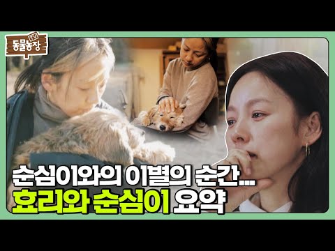 The 3,647 days with Lee Hyori and Soonsim... 'Hyori and Soonsim' (TV Animal Farm) | SBS Story