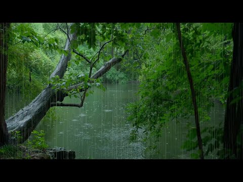 The beautiful little river is raining(159) , sleep, relax, meditate, ASMR, Real Shot