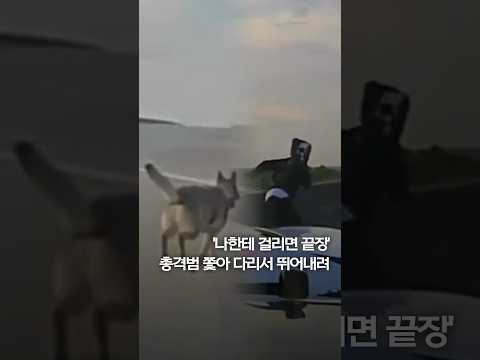 '나한테 걸리면 끝장'...총격범 쫓아 다리서 뛰어내려 #shorts