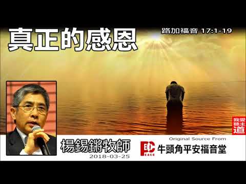 真正感恩 (路加福音17:1-19) - 楊錫鏘牧師