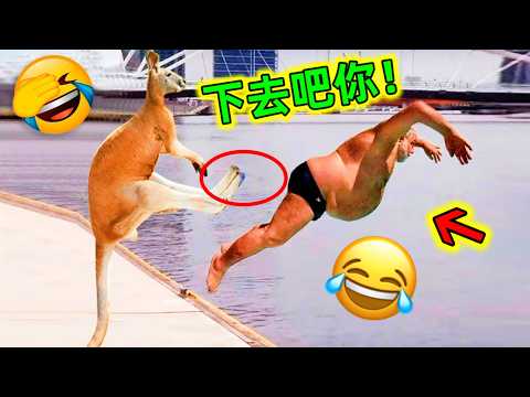 😂Animal Supernatural Moments|It turns out animals can do bad things too! It's unbelievable!