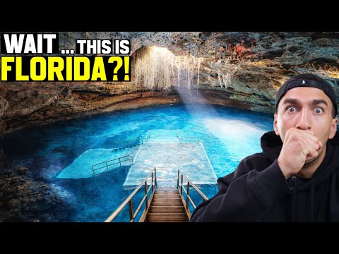 This Is FLORIDA?! New Zealander Can't Believe it!