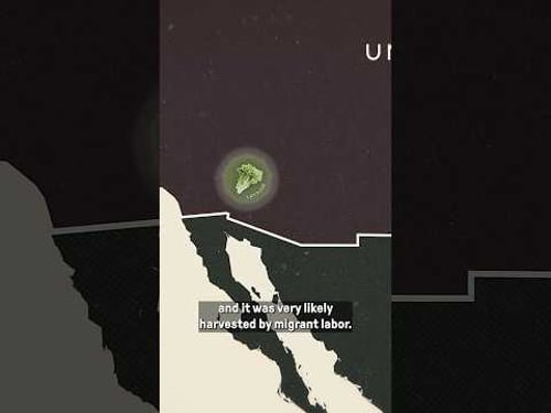 Why the US has so many undocumented immigrants