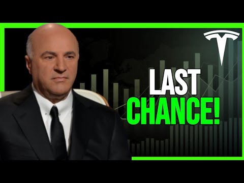 Kevin O'Leary's WARNING to ALL Tesla Investors: Are You Prepared?