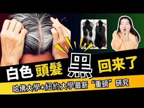 2025重磅白髮研究 |做到4點,白頭髮變回黑頭髮