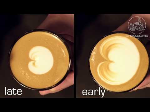 Sunergos Milk Training Video: Learn Milk Science, Steaming, and Latte Art