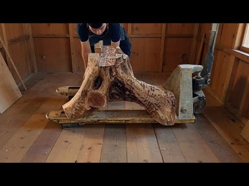 He Found An Old Tree Stump. The Ending Is Mind-Blowing!