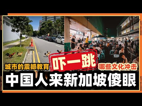 中国人到新加坡后全程目瞪口呆“文化冲击”