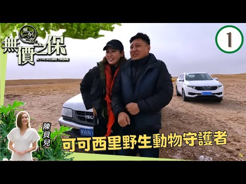 陳貝兒 可可西里野生動物守護者 | 無窮之路 II - 無價之保 #01 | 陳貝兒 | 粵語中字 | TVB 2022