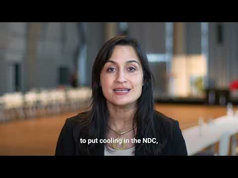 Lily Riahi, Head of the UNEP Cool Coalition Secretariat