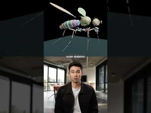 Google DeepMind created an exact digital replica of a fruit fly #trendingshorts #science #research