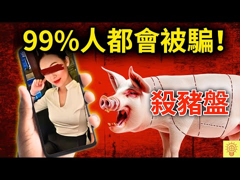 這就是殺豬盤:她被騙光160萬,就因他一句話!這話術太狠,99%人都會被騙!