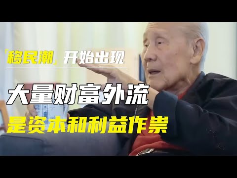 移民潮开始出现,大量富人移民究竟为什么?教授王赓武:大量财富外流,是资本和利益作祟 #十三邀 #许知远#罗翔#王石
