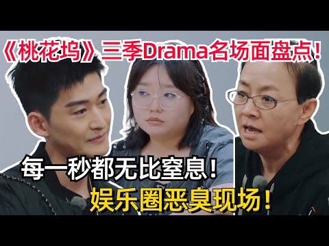 桃花坞3季最全Drama名场面盘点!#李雪琴 被骂哭!#张翰 直接黑脸!中国娱乐圈的缩影!【五十公里桃花坞3】#搞笑 #综艺