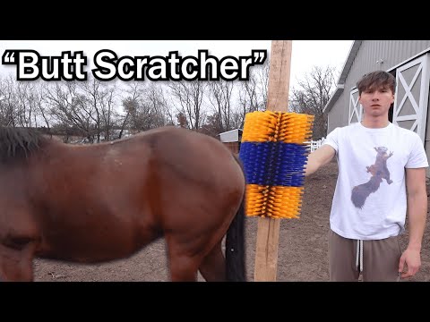 I Bought More Temu "Pet Products"