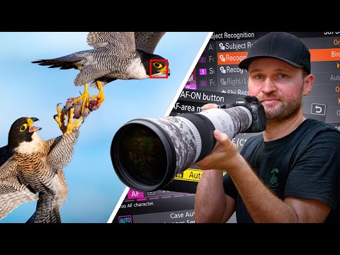 Make Your Autofocus UNSTOPPABLE – MUST-CHANGE Settings for Canon, Nikon & Sony