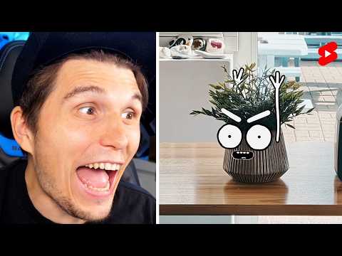 Paluten guckt Shorts 1.0